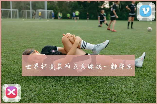 世界杯凌晨两点关键战一触即发