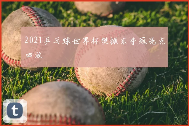 2021乒乓球世界杯樊振东夺冠亮点回放