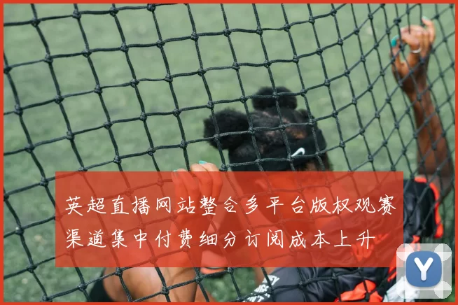 英超直播网站整合多平台版权观赛渠道集中付费细分订阅成本上升